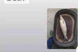 江门讨债公司如何把握上门催款的时机